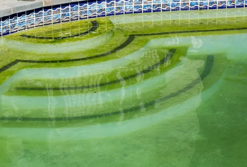 Zielona woda w basenie