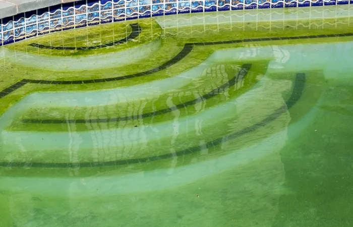 Zielona woda w basenie